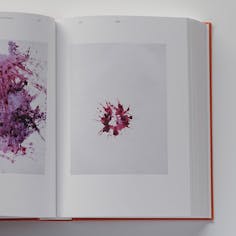 スティーブン・ギル写真集 『COMING UP FOR AIR: STEPHEN GILL – A RETROSPECTIVE (CATALOGUE 2021)』 ※Nobody Books ポストカード付